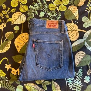 Levi's Blue Jeans